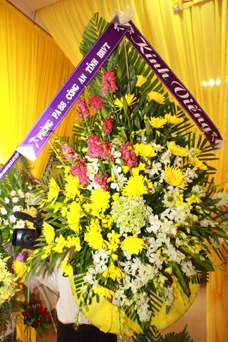 7 (Copy)